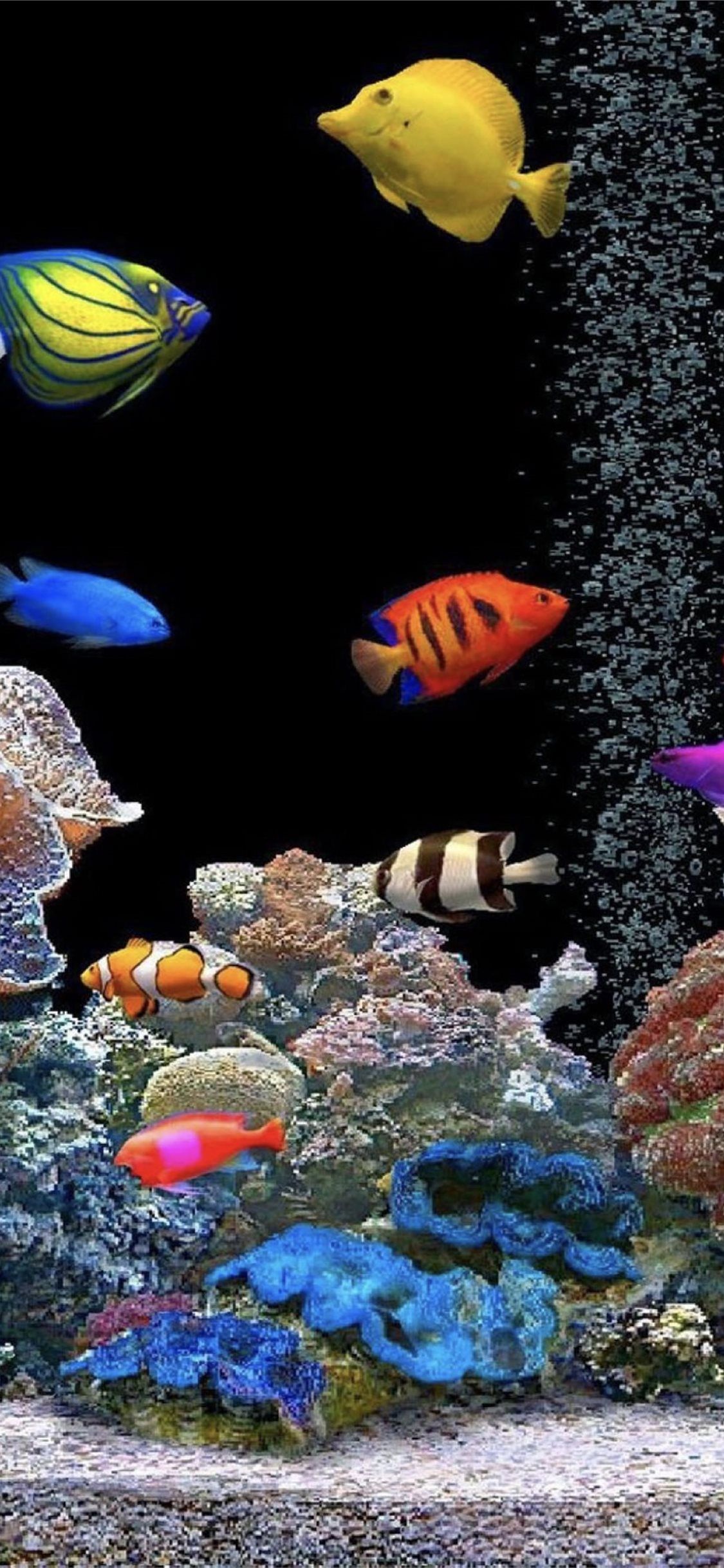 Fish Tank Wallpapers