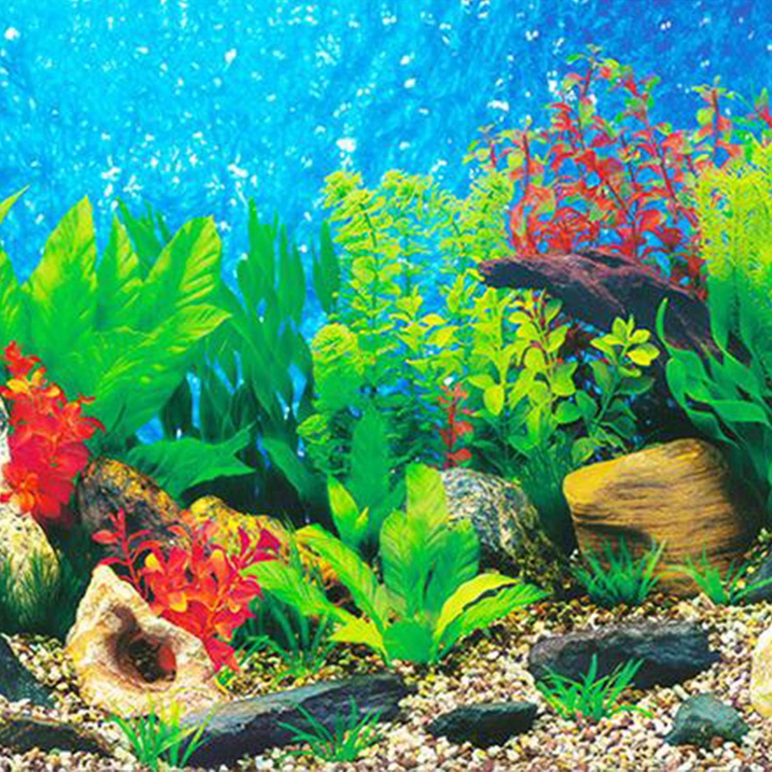 Fish Tank Wallpapers