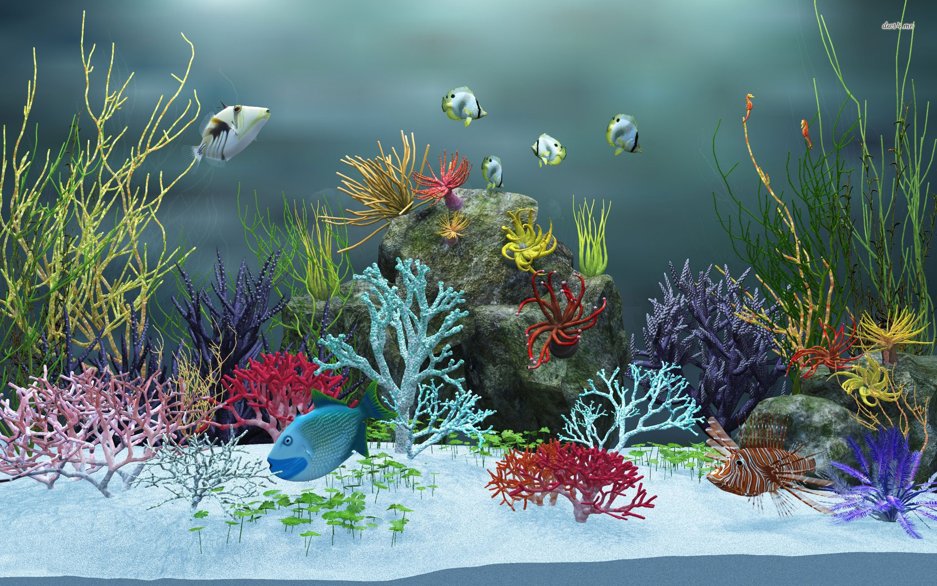 Fish Tank Wallpapers