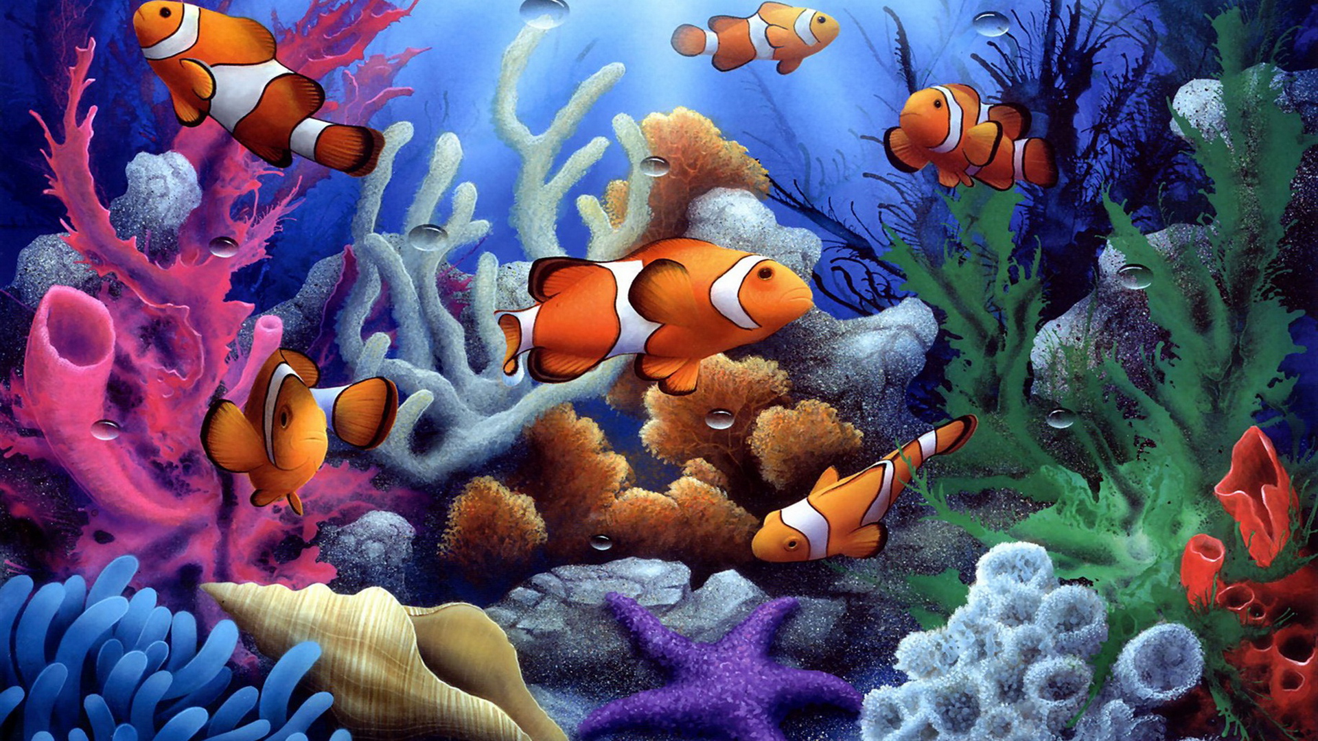 Fish Underwater Wallpapers