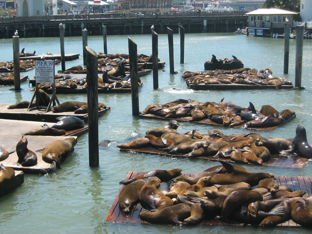 Fisherman'S Wharf Wallpapers