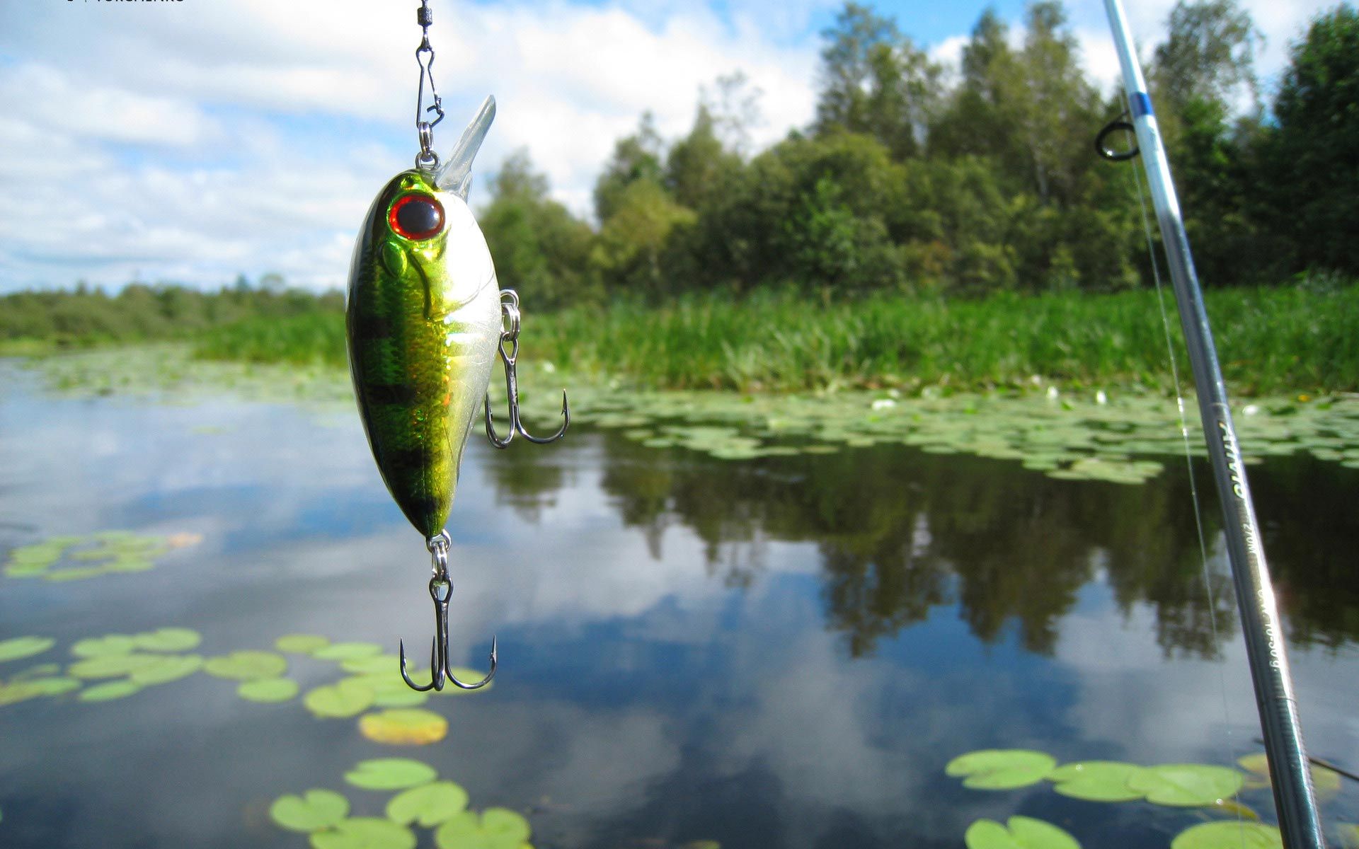 Fishing Desktop Wallpapers