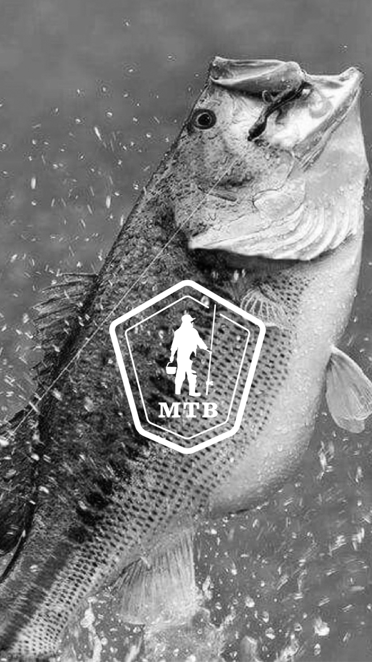 Fishing Phone Wallpapers