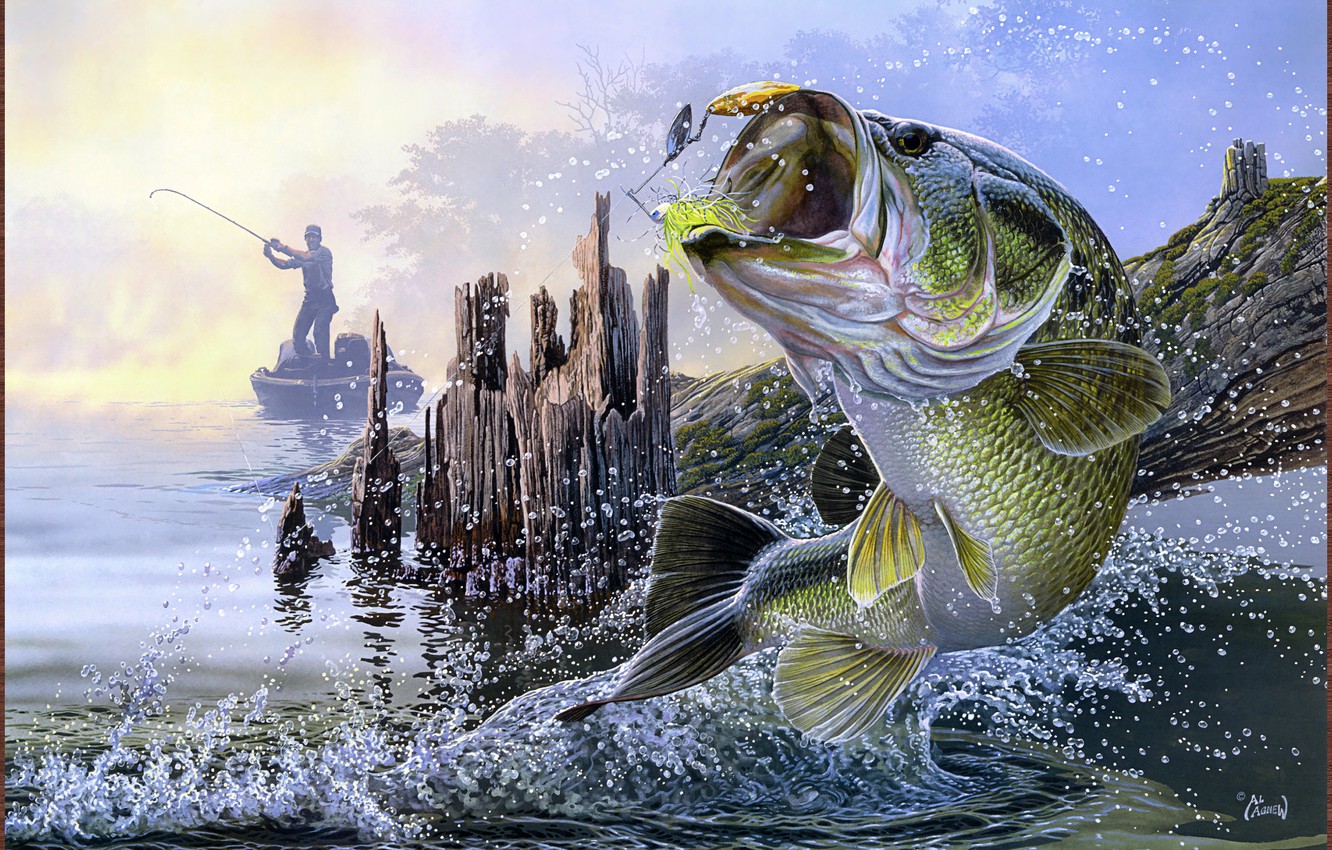 Fishing Wallpapers