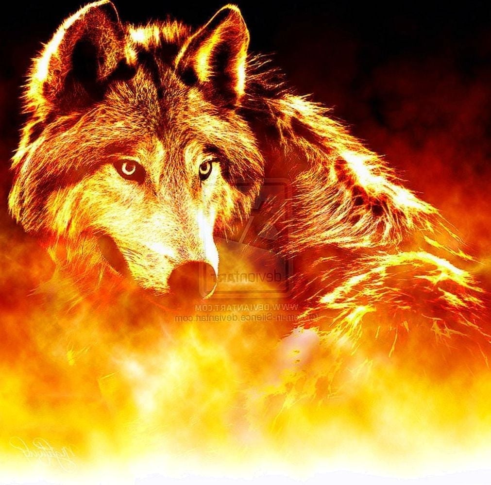 Flaming Wolf Wallpapers