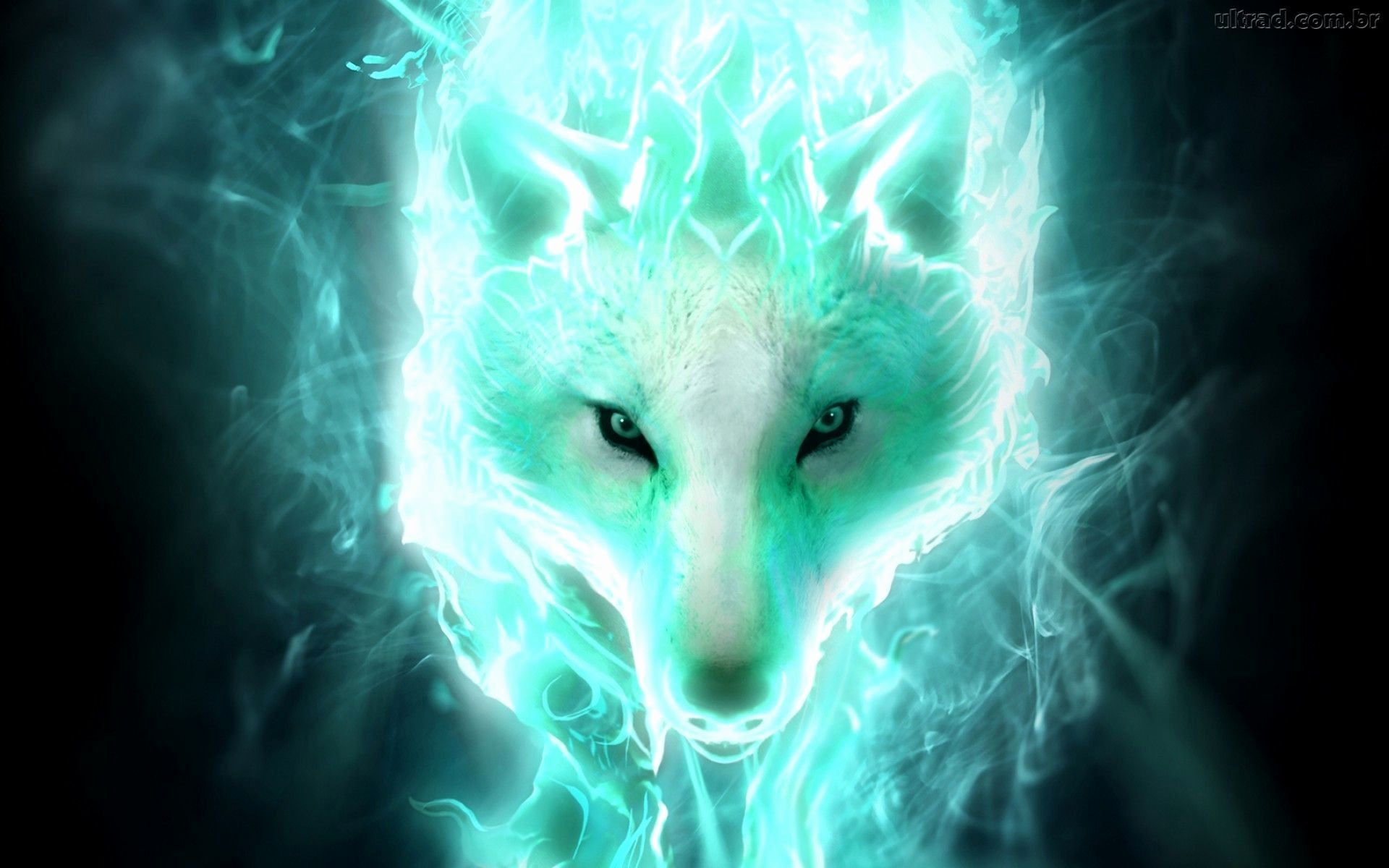 Flaming Wolf Wallpapers