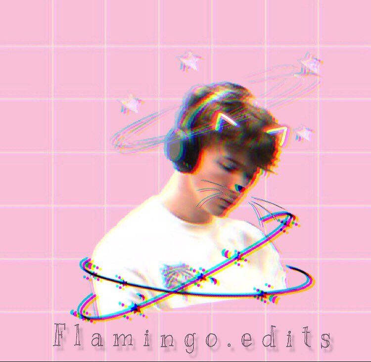 Flamingo Albert Wallpapers