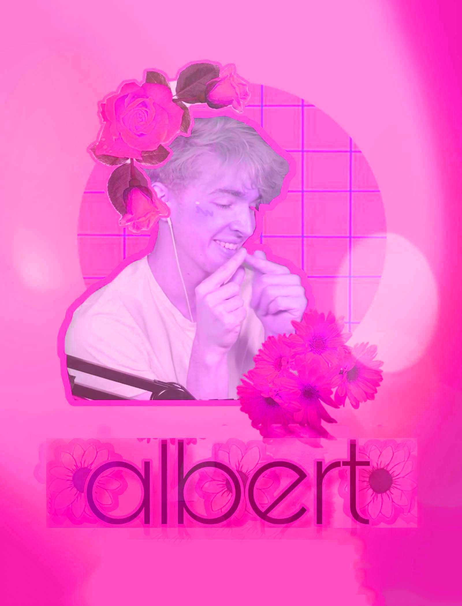 Flamingo Albert Wallpapers