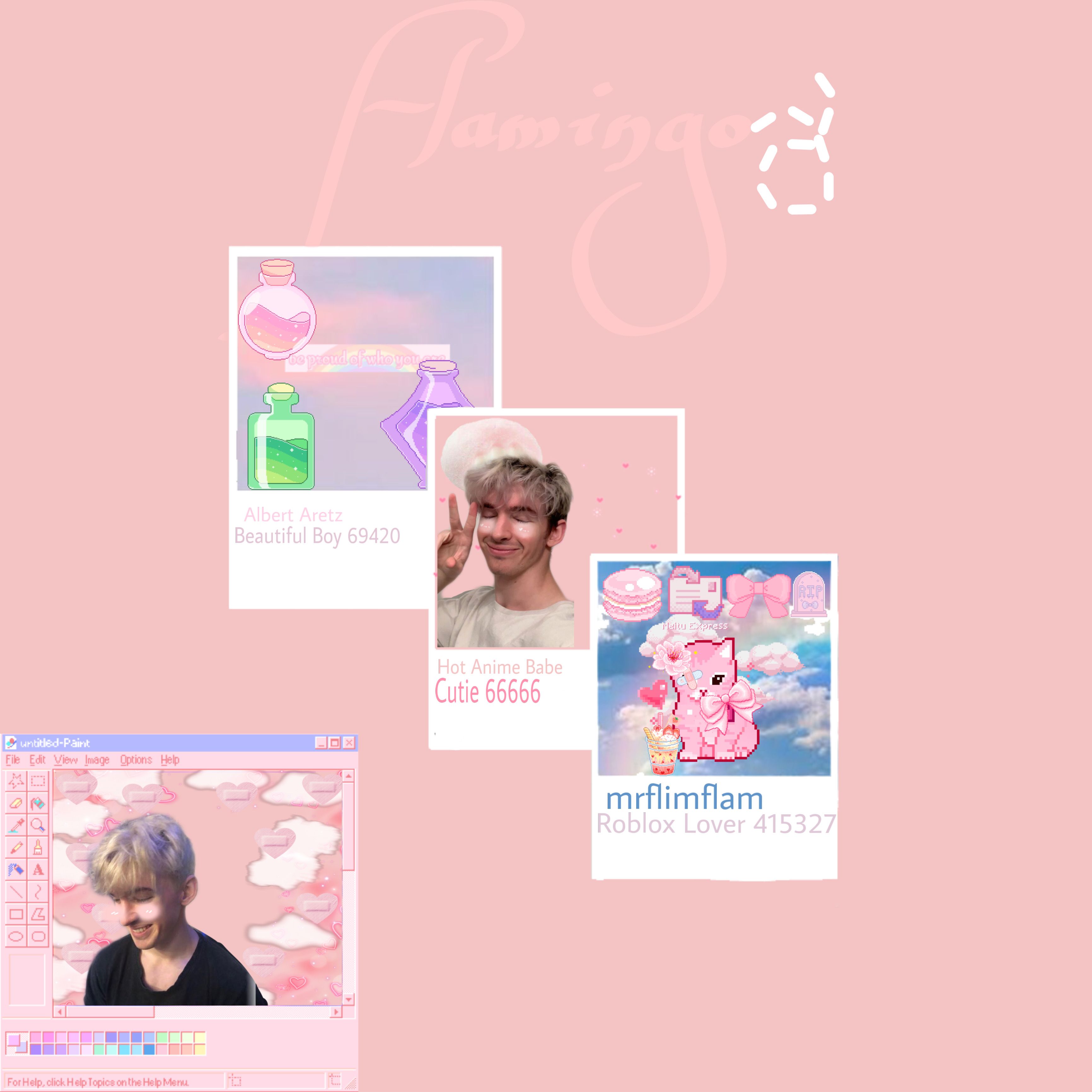 Flamingo Albert Wallpapers