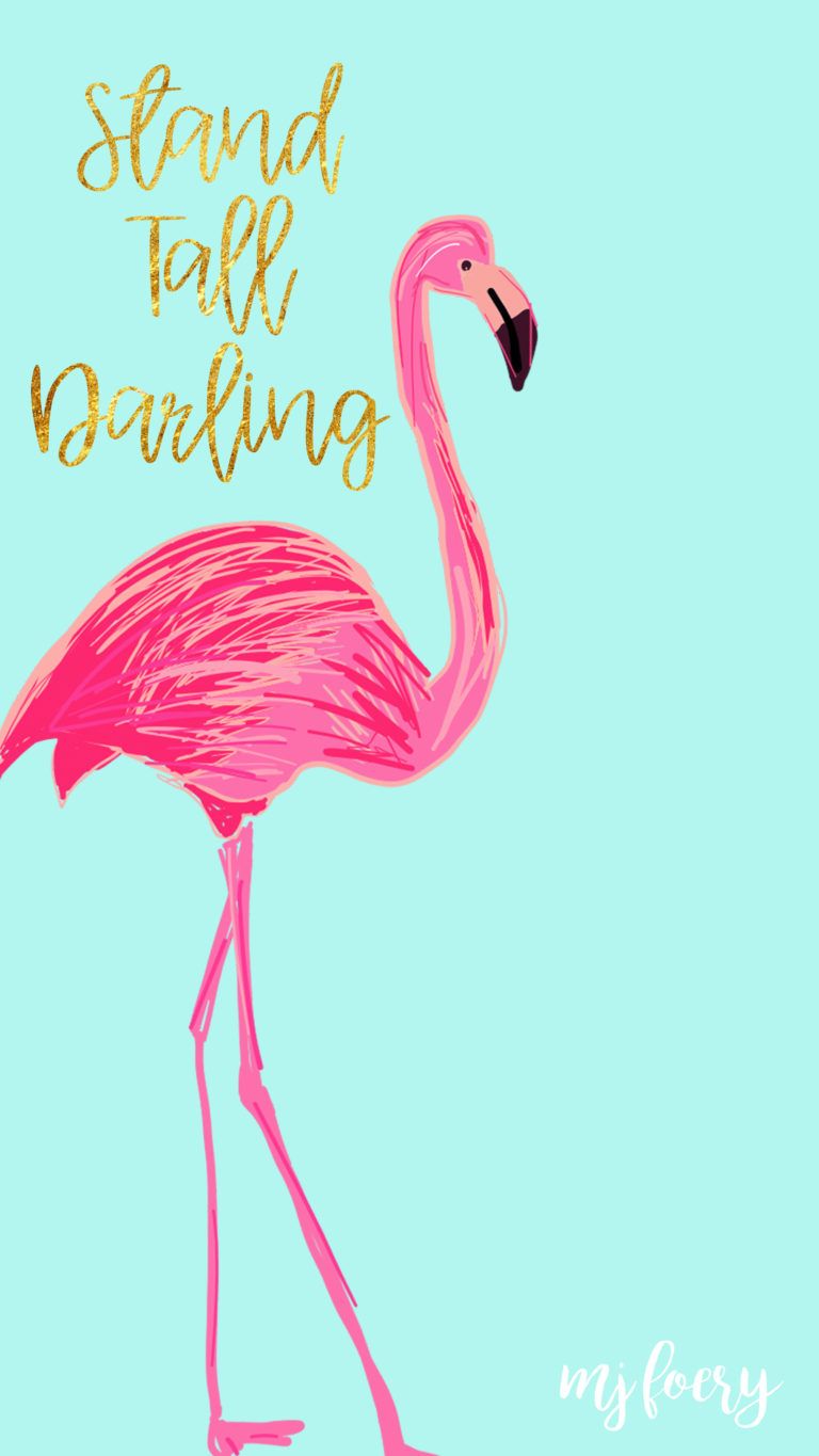 Flamingo Phone Wallpapers