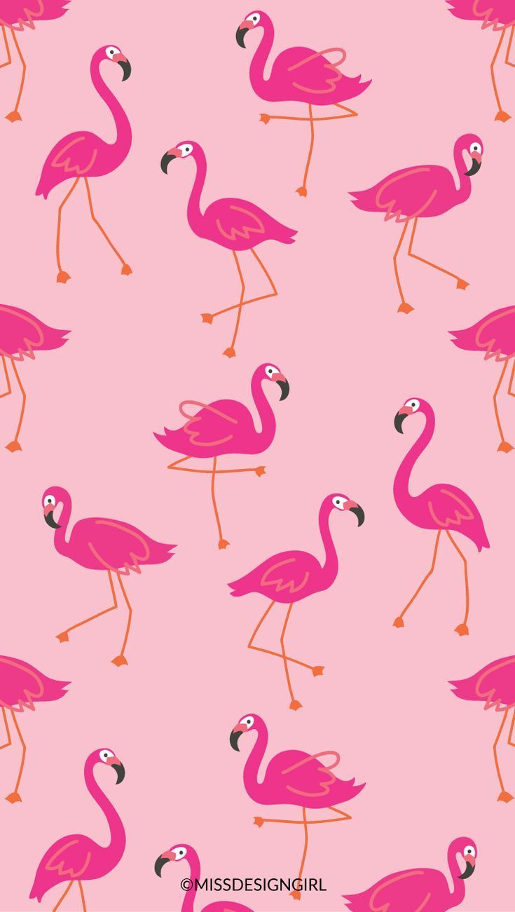 Flamingo Phone Wallpapers