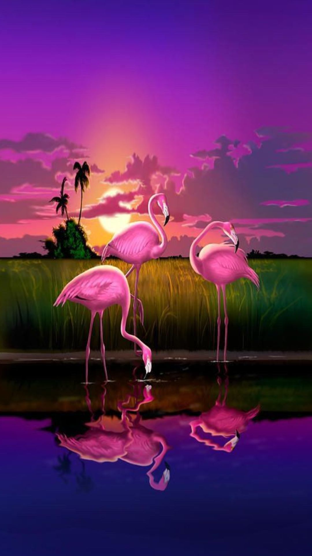 Flamingo Phone Wallpapers