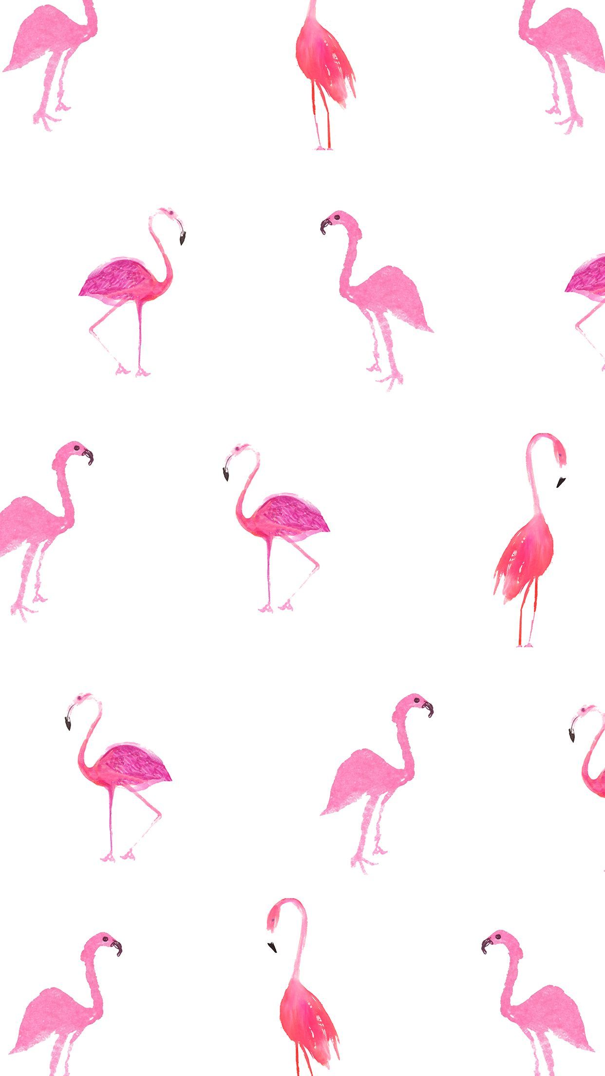 Flamingo Phone Wallpapers