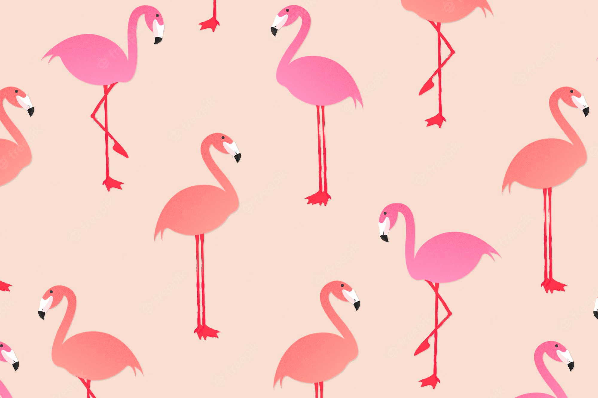 Flamingo Phone Wallpapers