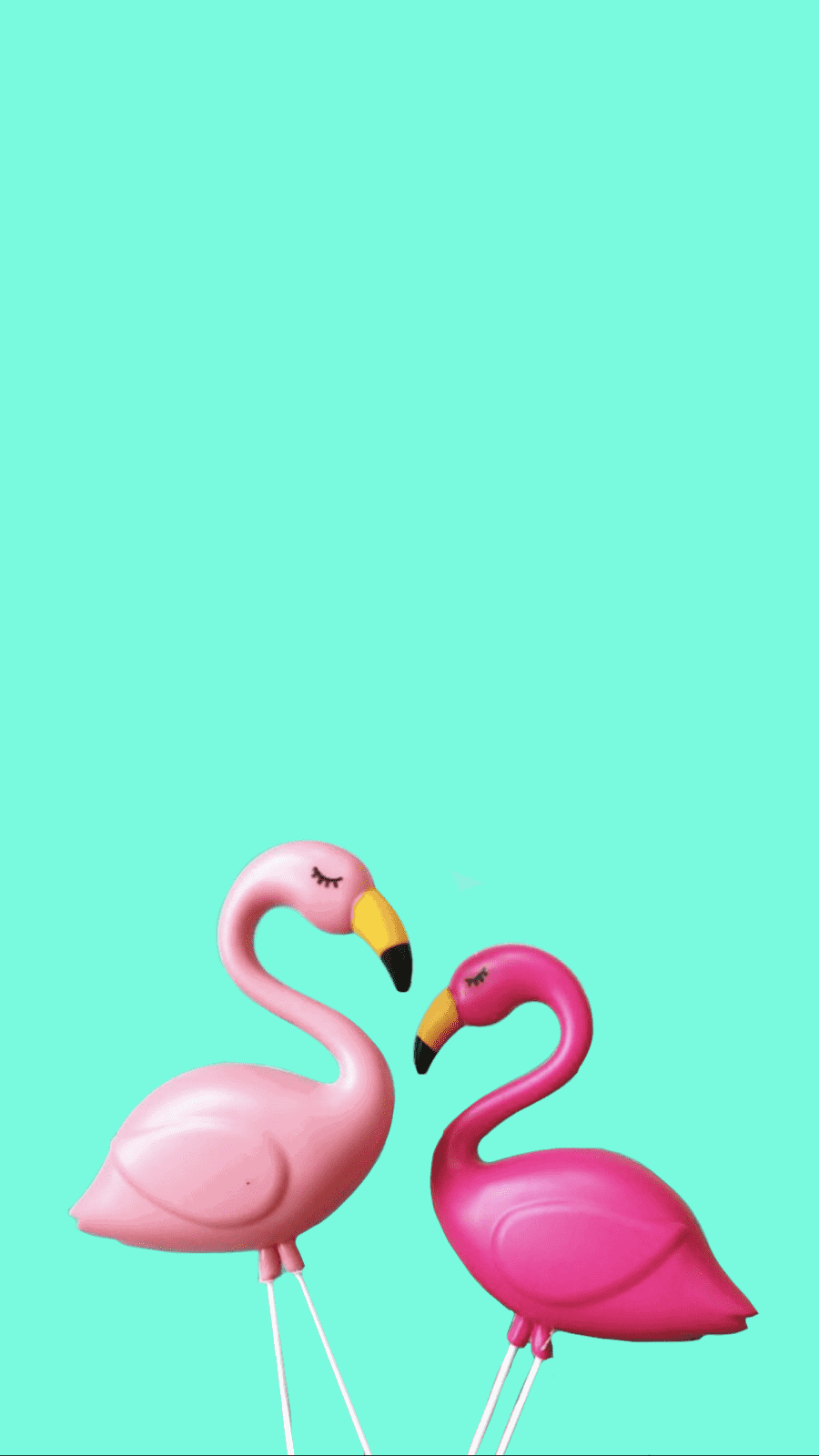 Flamingo Phone Wallpapers