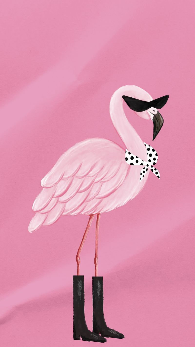 Flamingo Phone Wallpapers