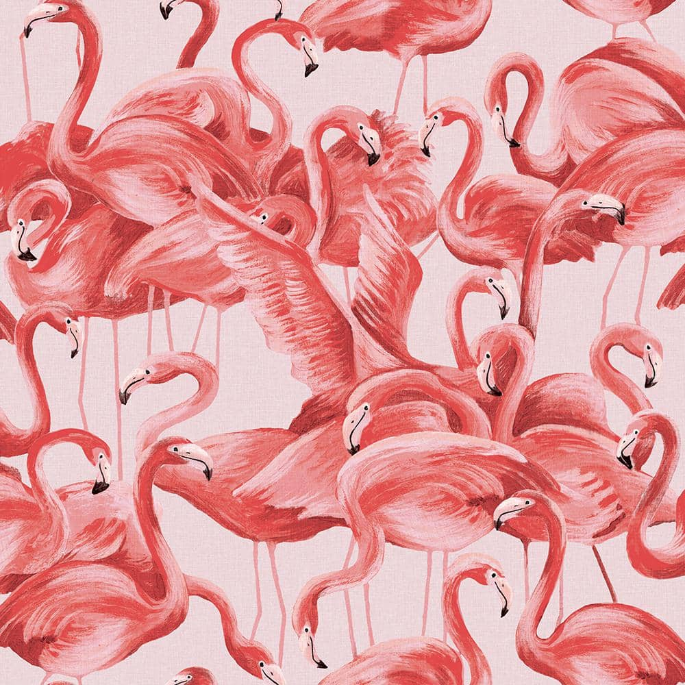 Flamingo Phone Wallpapers