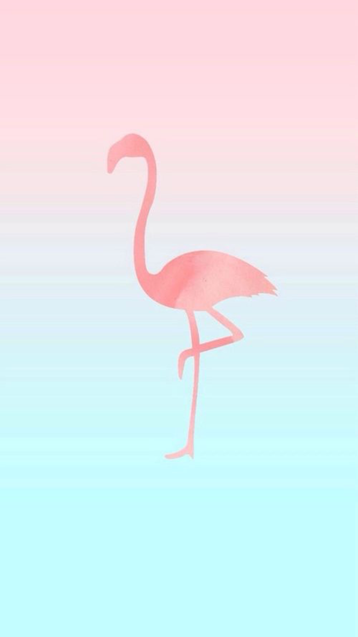 Flamingo Phone Wallpapers