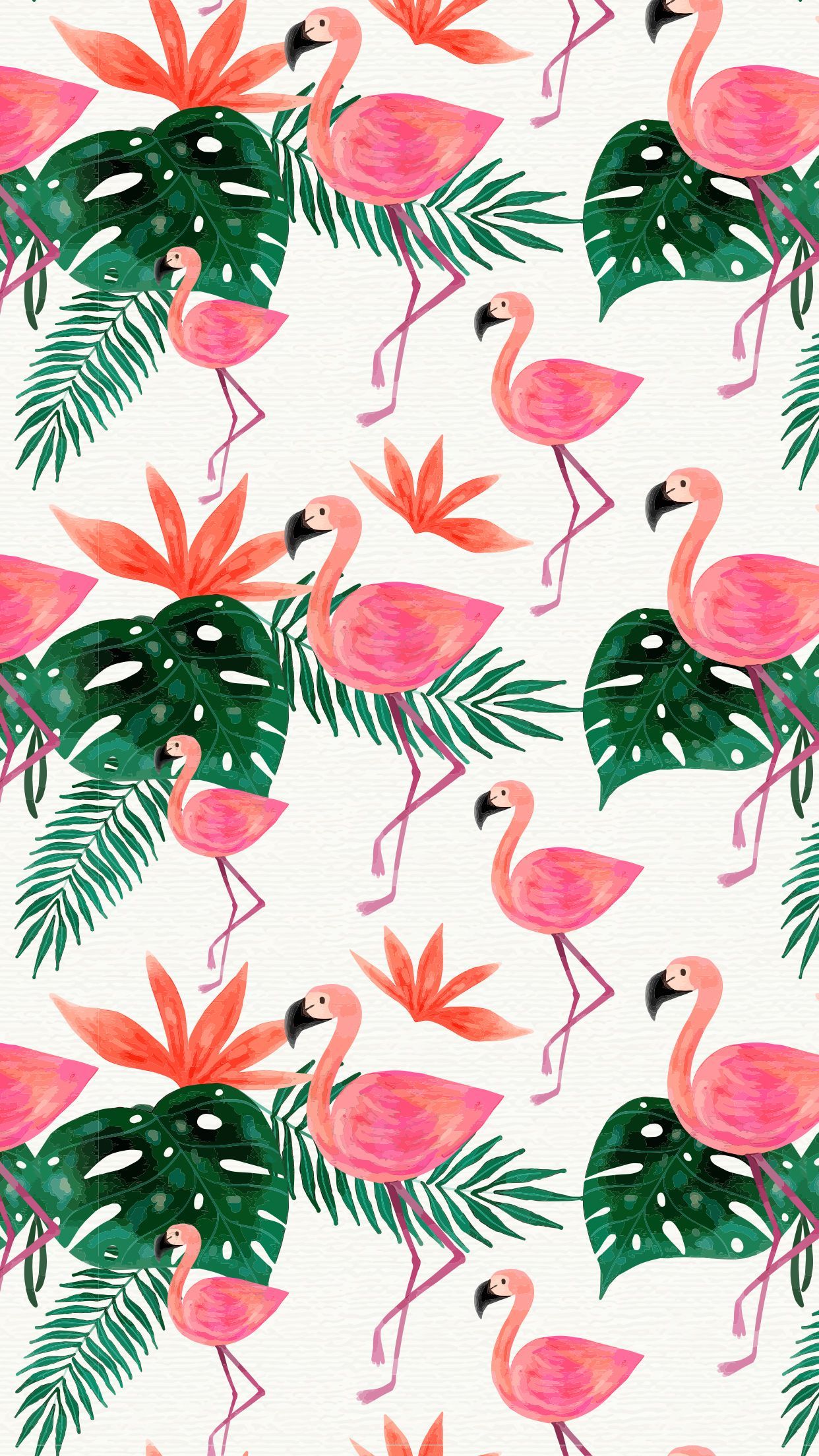 Flamingo Phone Wallpapers