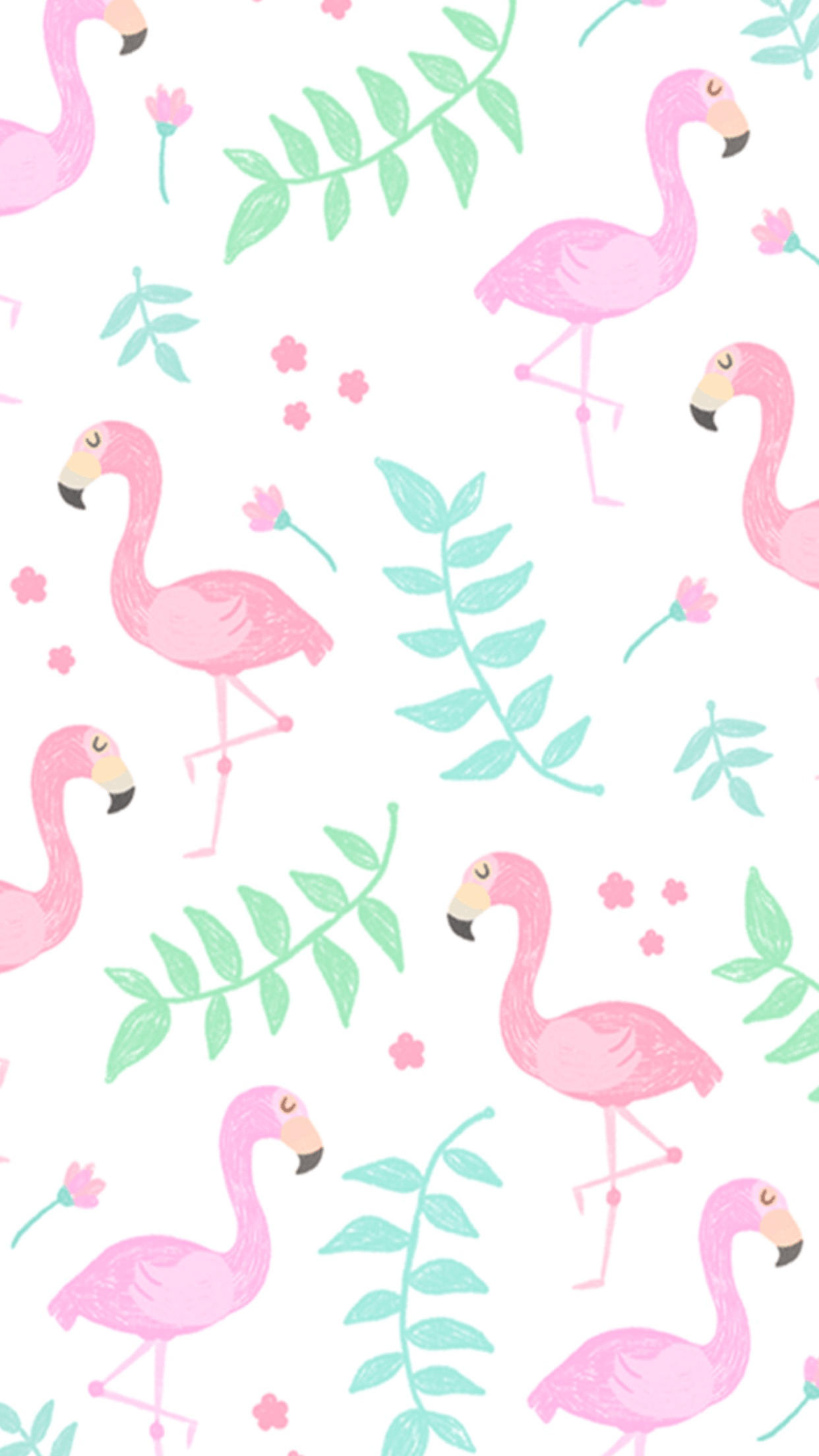 Flamingo Phone Wallpapers