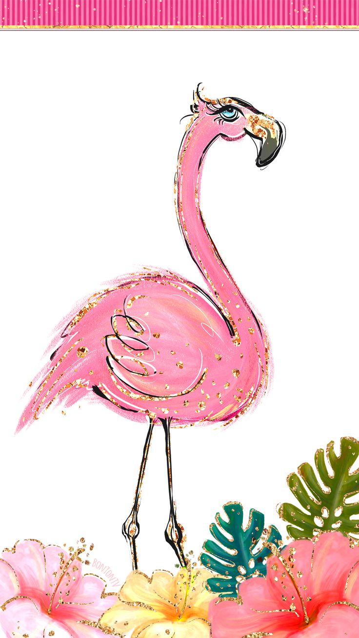 Flamingo Phone Wallpapers