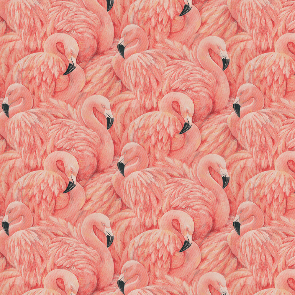 Flamingo Phone Wallpapers