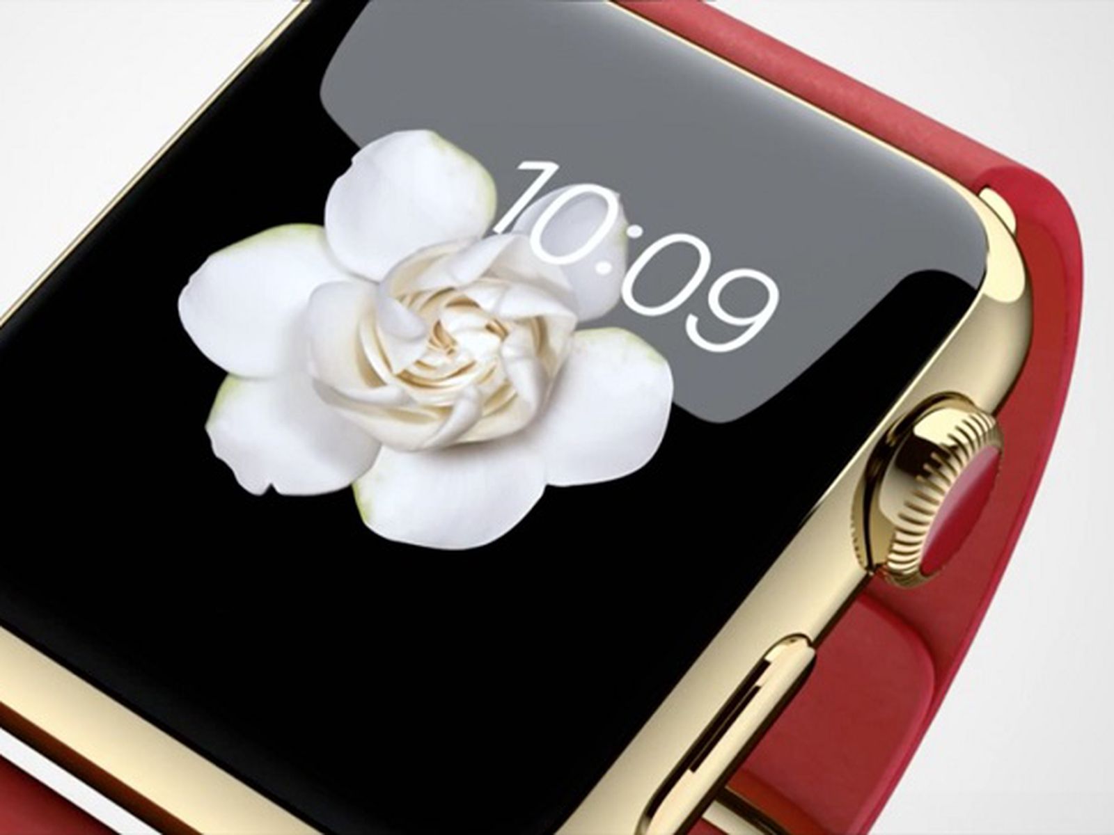 Floral Apple Watch Wallpapers