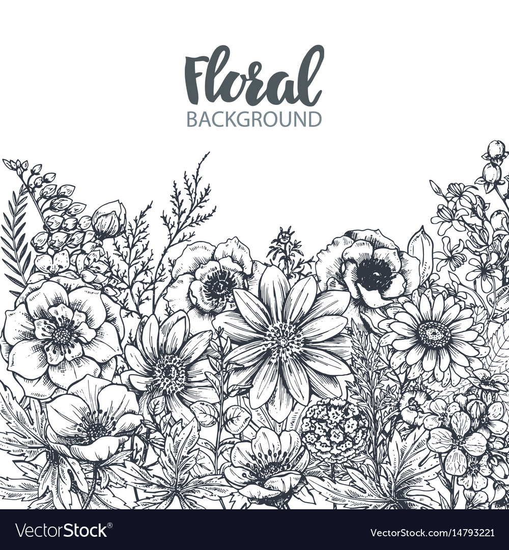 Floral Illustration Background