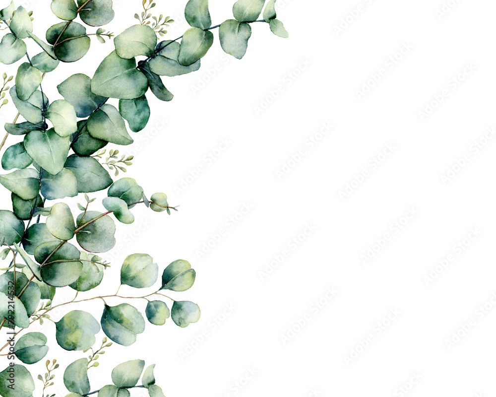 Floral Illustration Background