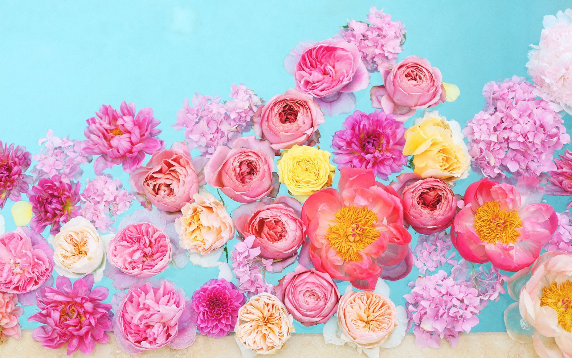 Floral Laptop Backgrounds