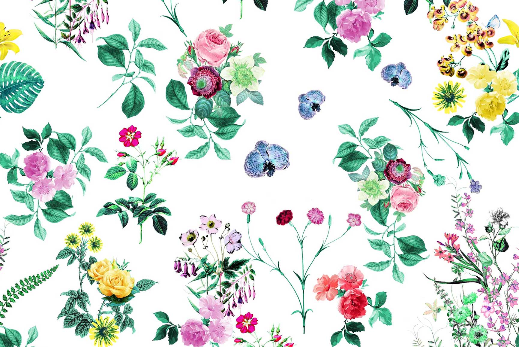 Floral Laptop Backgrounds