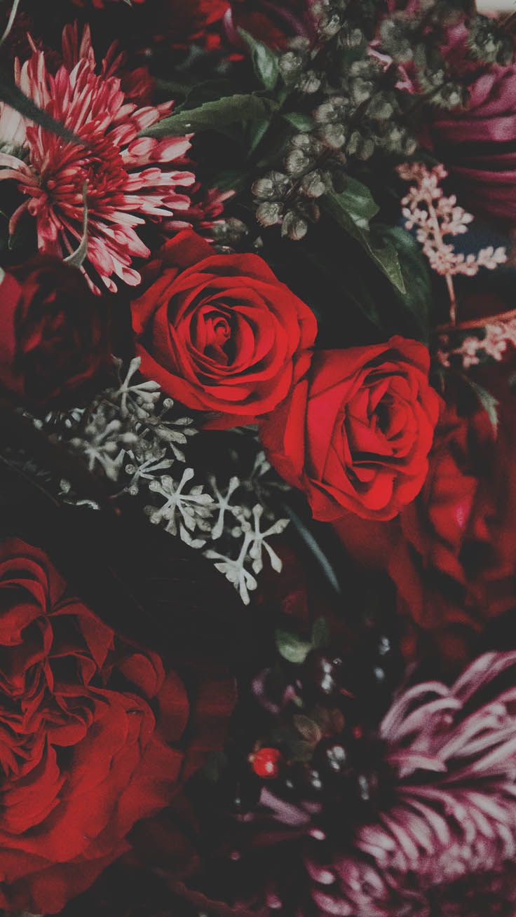 Floral Rose Wallpapers