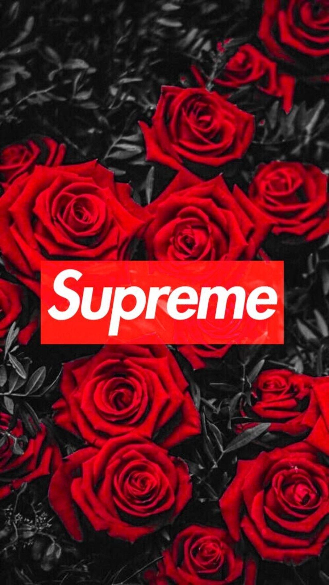 Floral Supreme Wallpapers