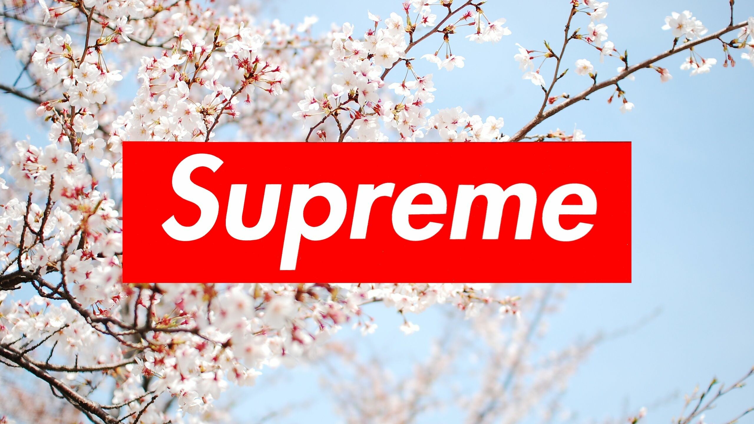 Floral Supreme Wallpapers