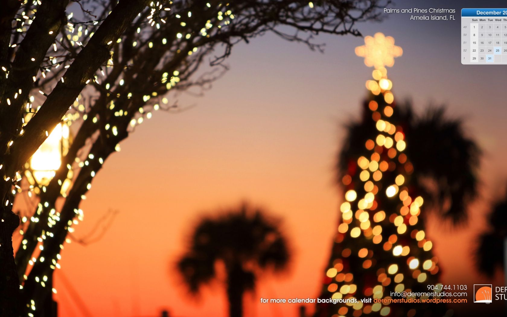 Florida Christmas Background