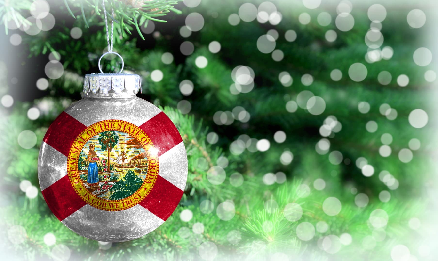 Florida Christmas Background