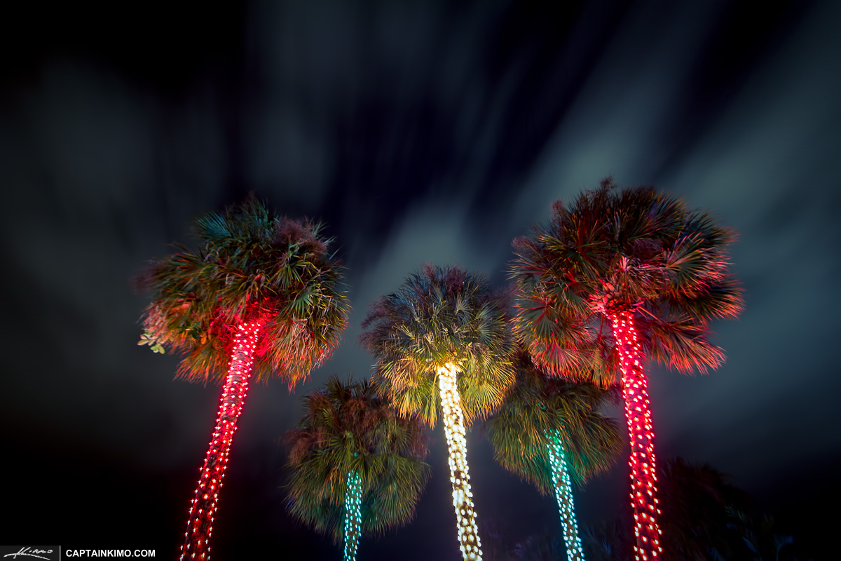 Florida Christmas Background