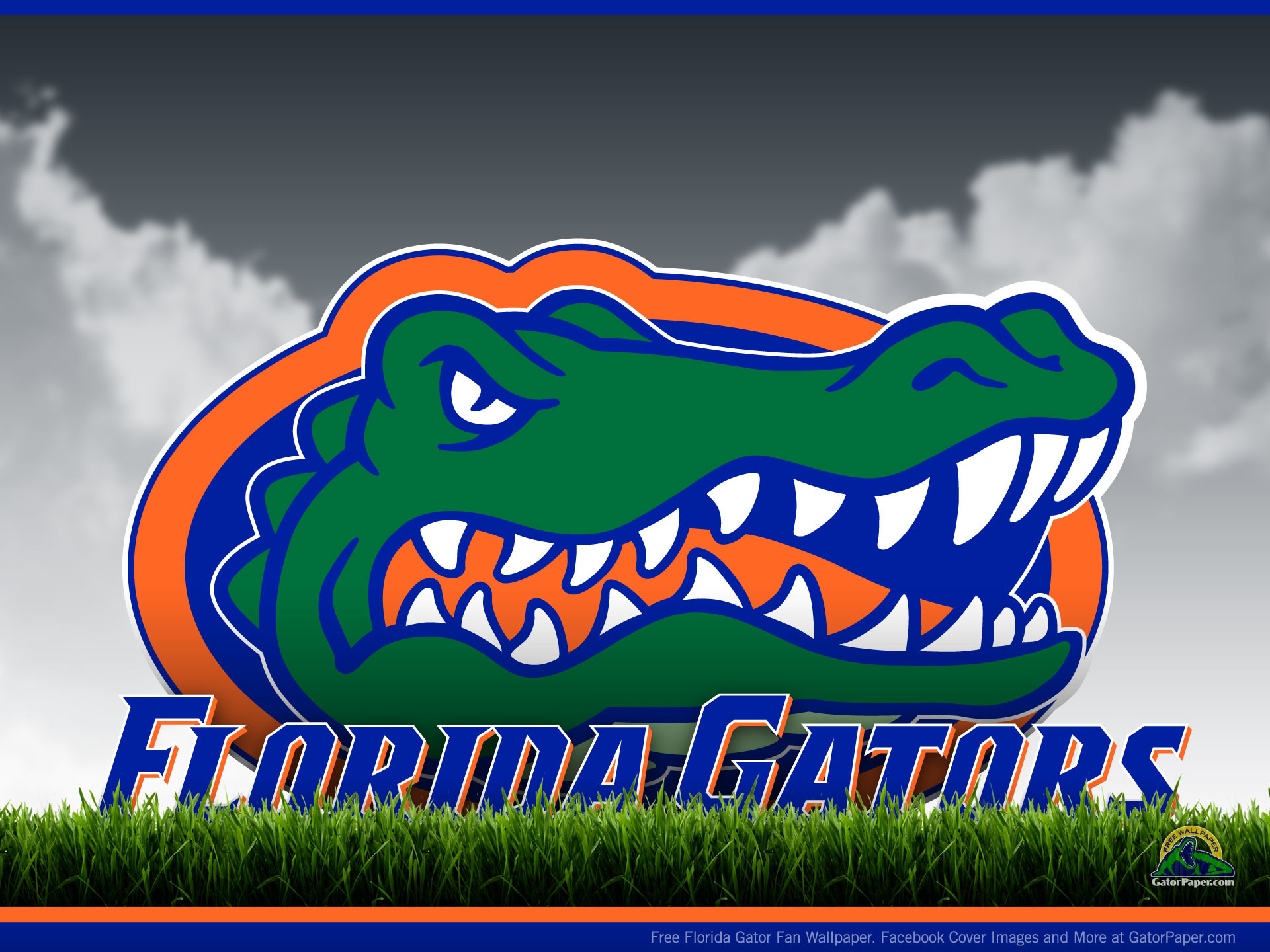 Florida Gator Border Wallpapers