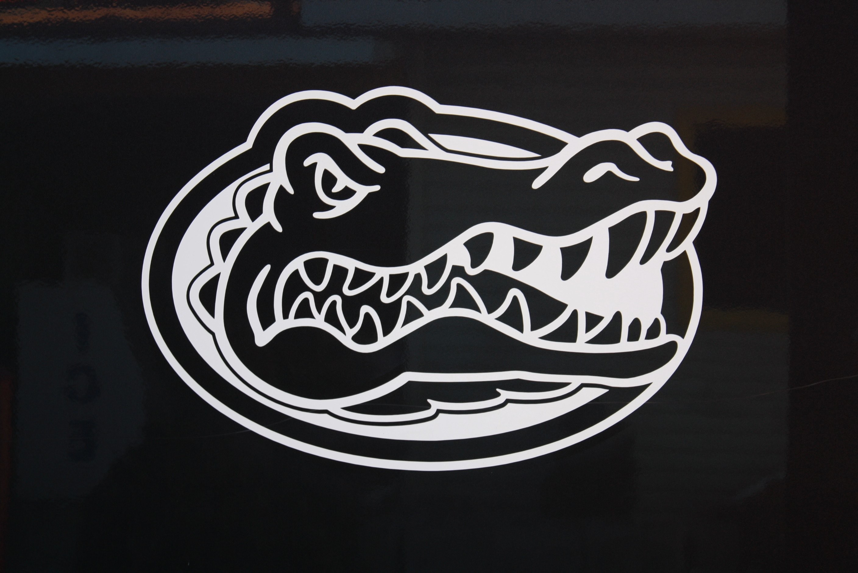 Florida Gators Logo Wallpapers