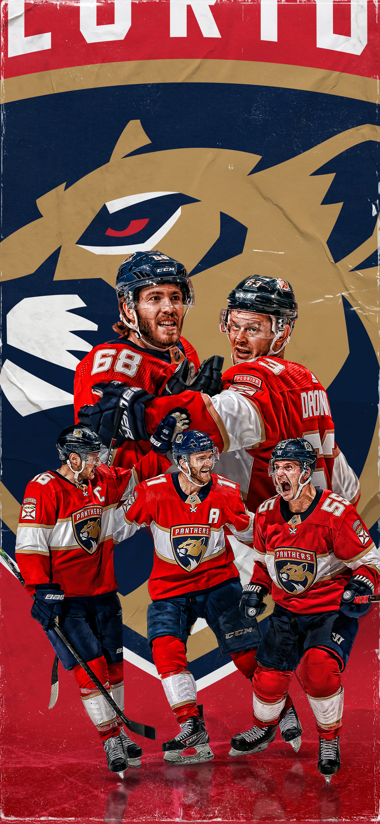 Florida Panthers Wallpapers