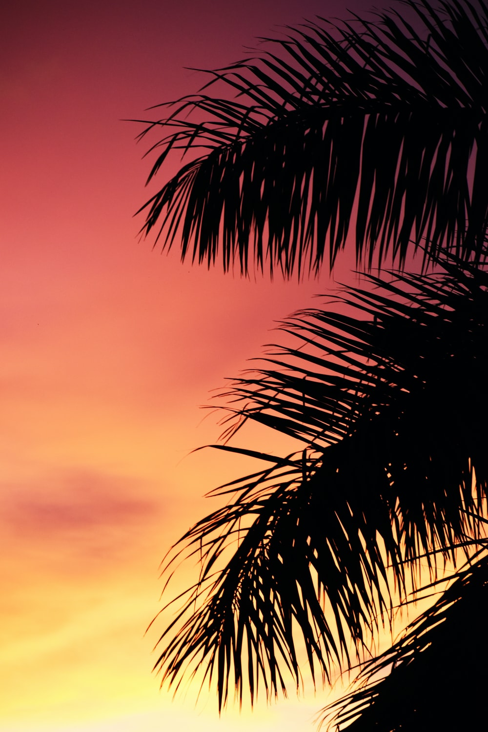 Florida Sunset Wallpapers