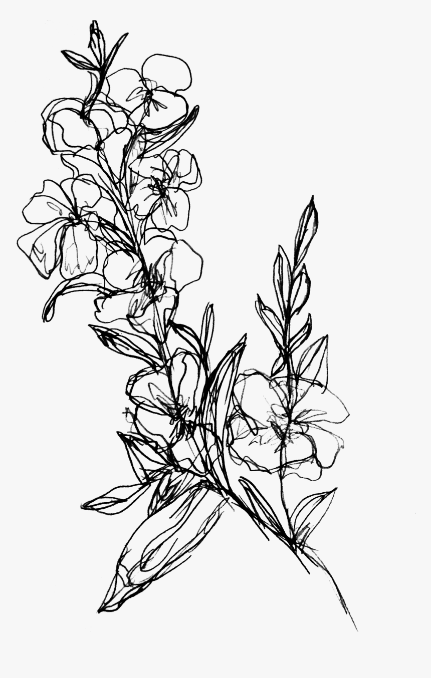 Flower Drawing Background