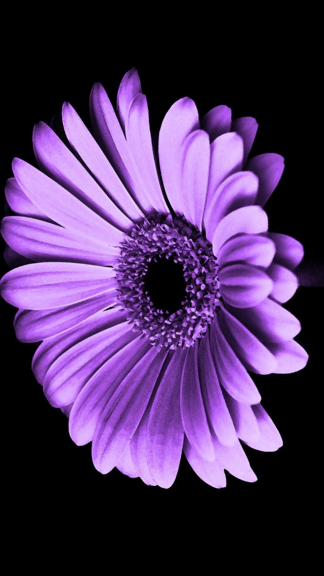 Flower Hd For Iphone Wallpapers