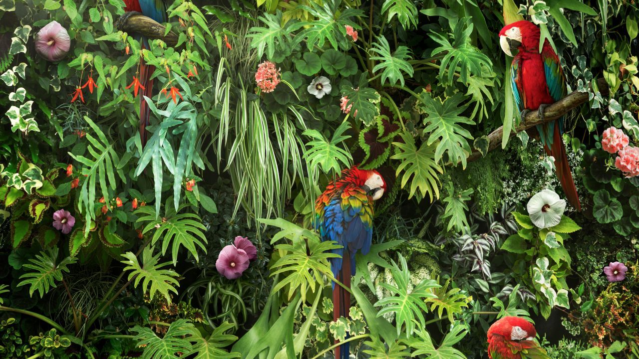 Flower Jungle Wallpapers