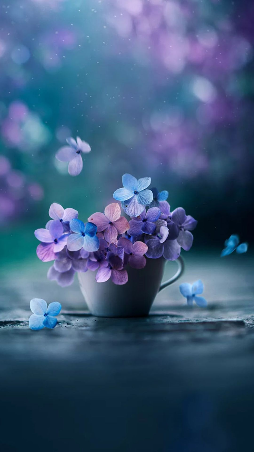 Flower Pictures Wallpapers