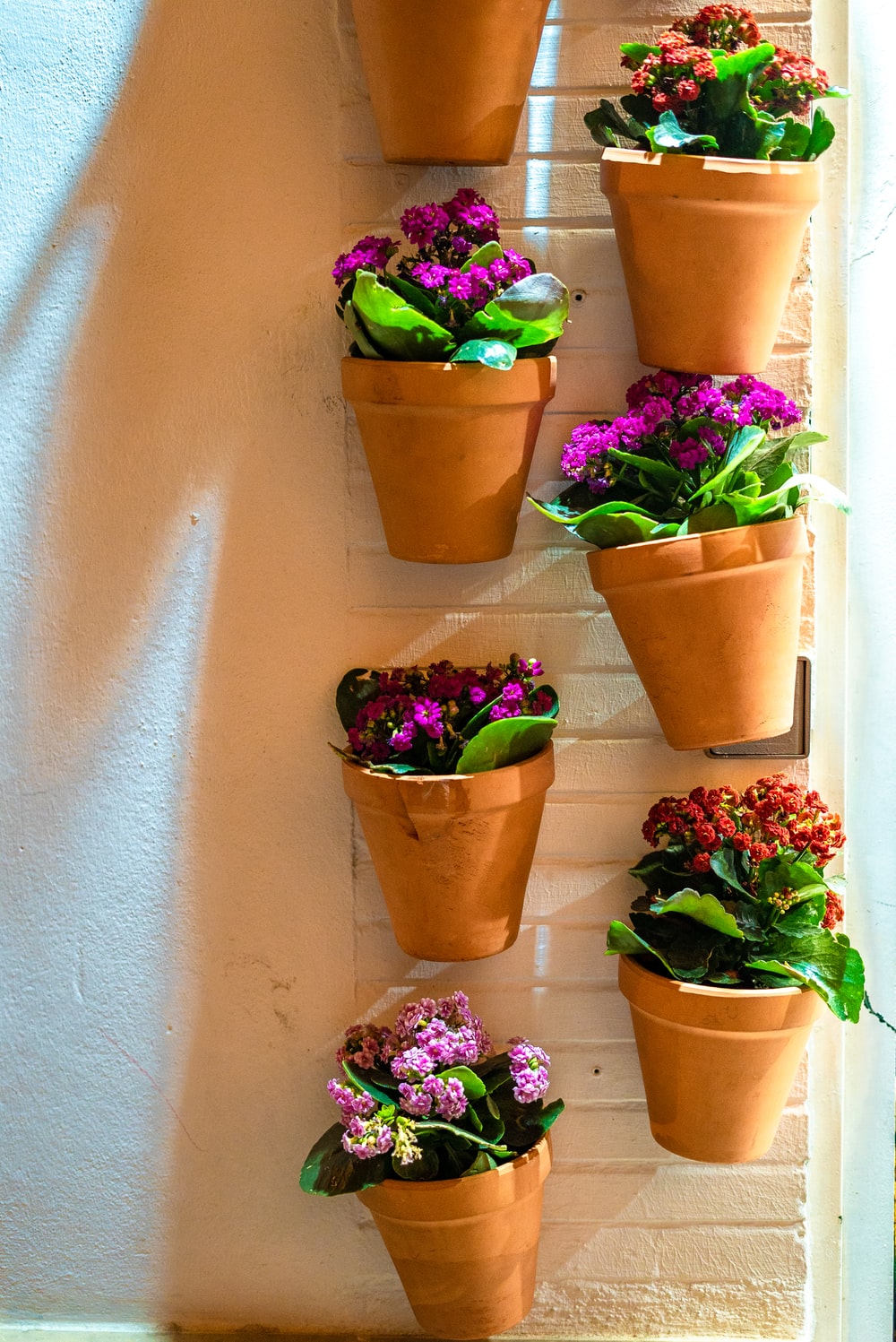 Flower Pot Wallpapers