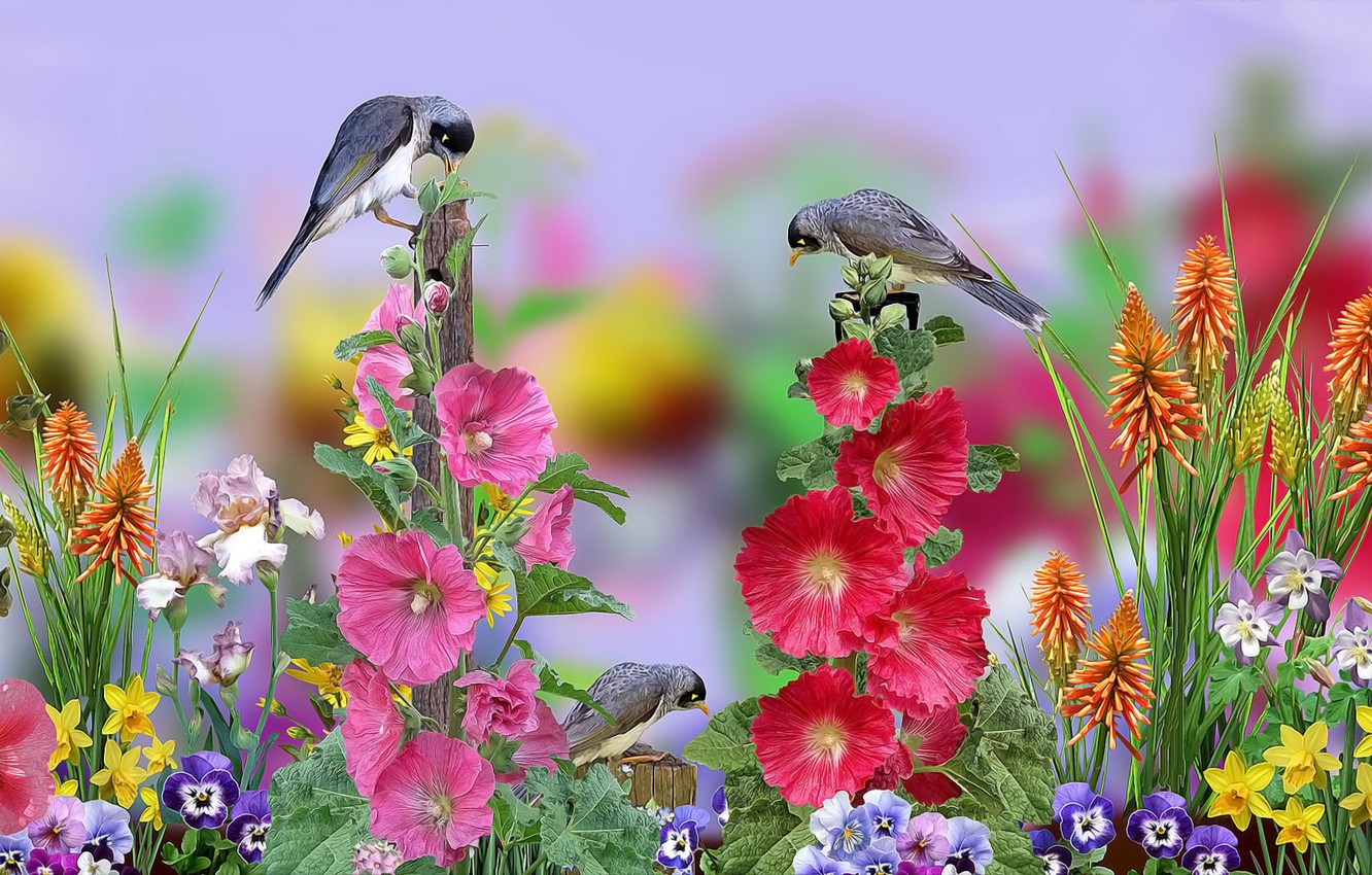 Flowers And Birds Wallpapers