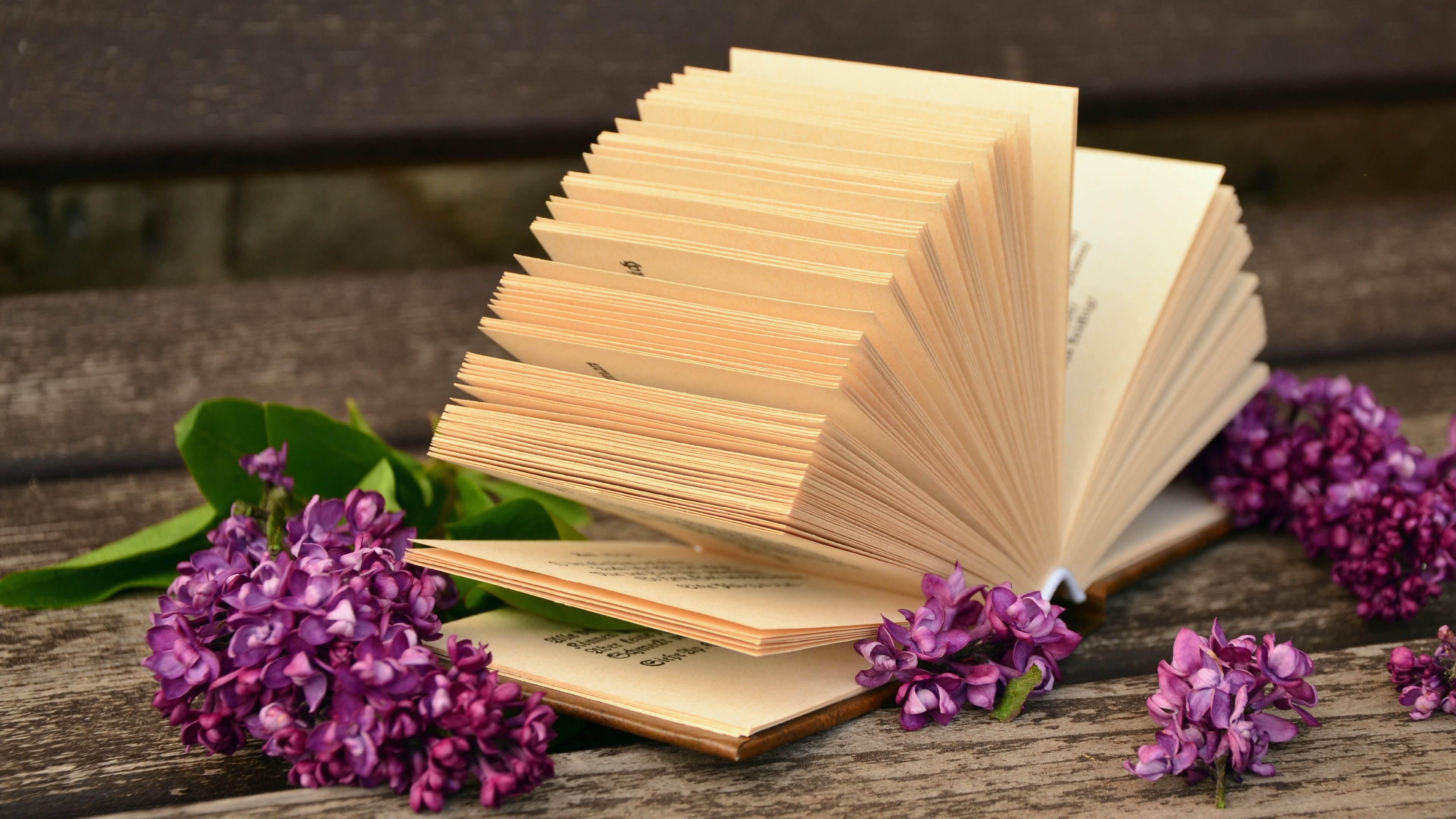 Flowers And Books Wallpapers