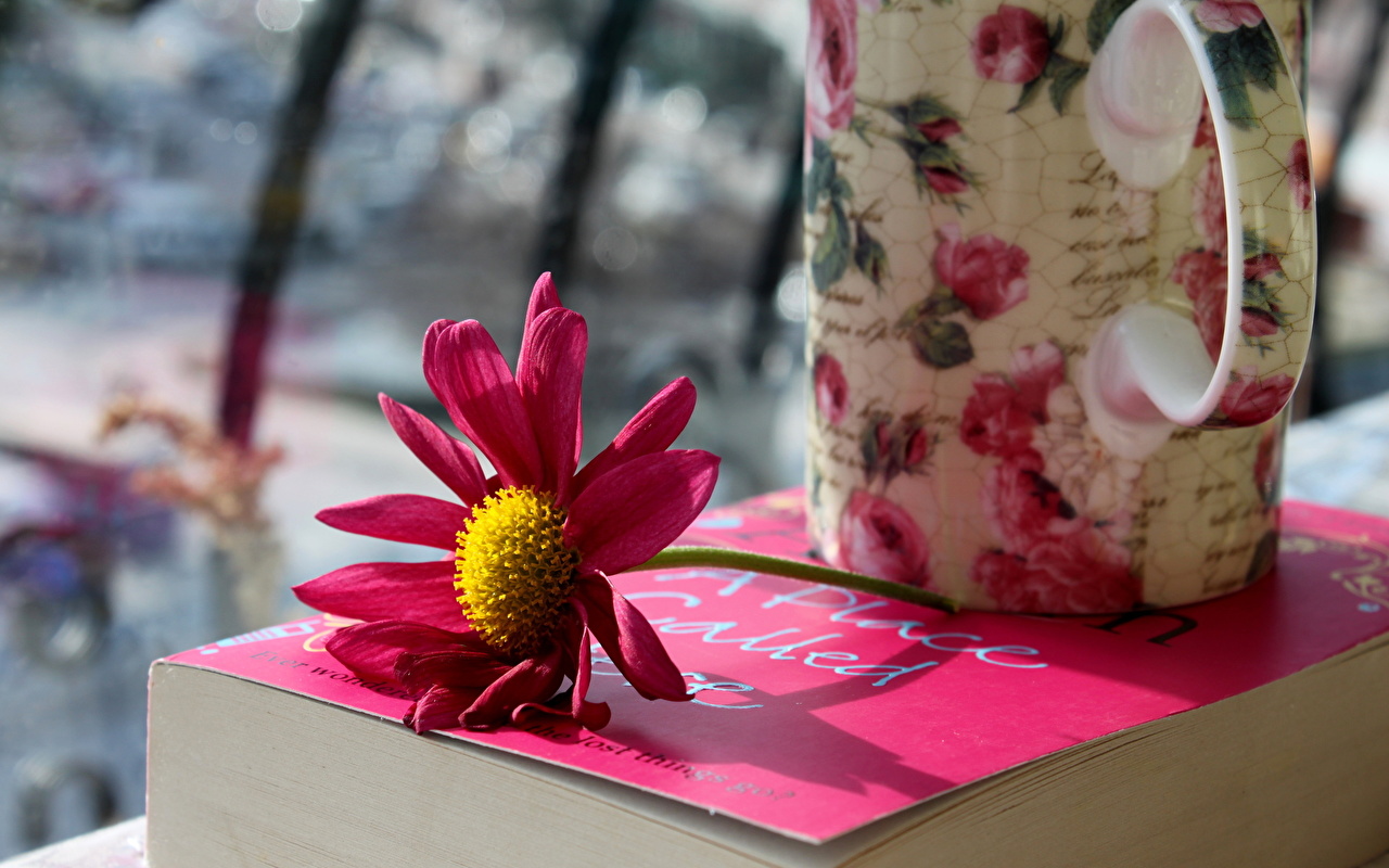 Flowers And Books Wallpapers