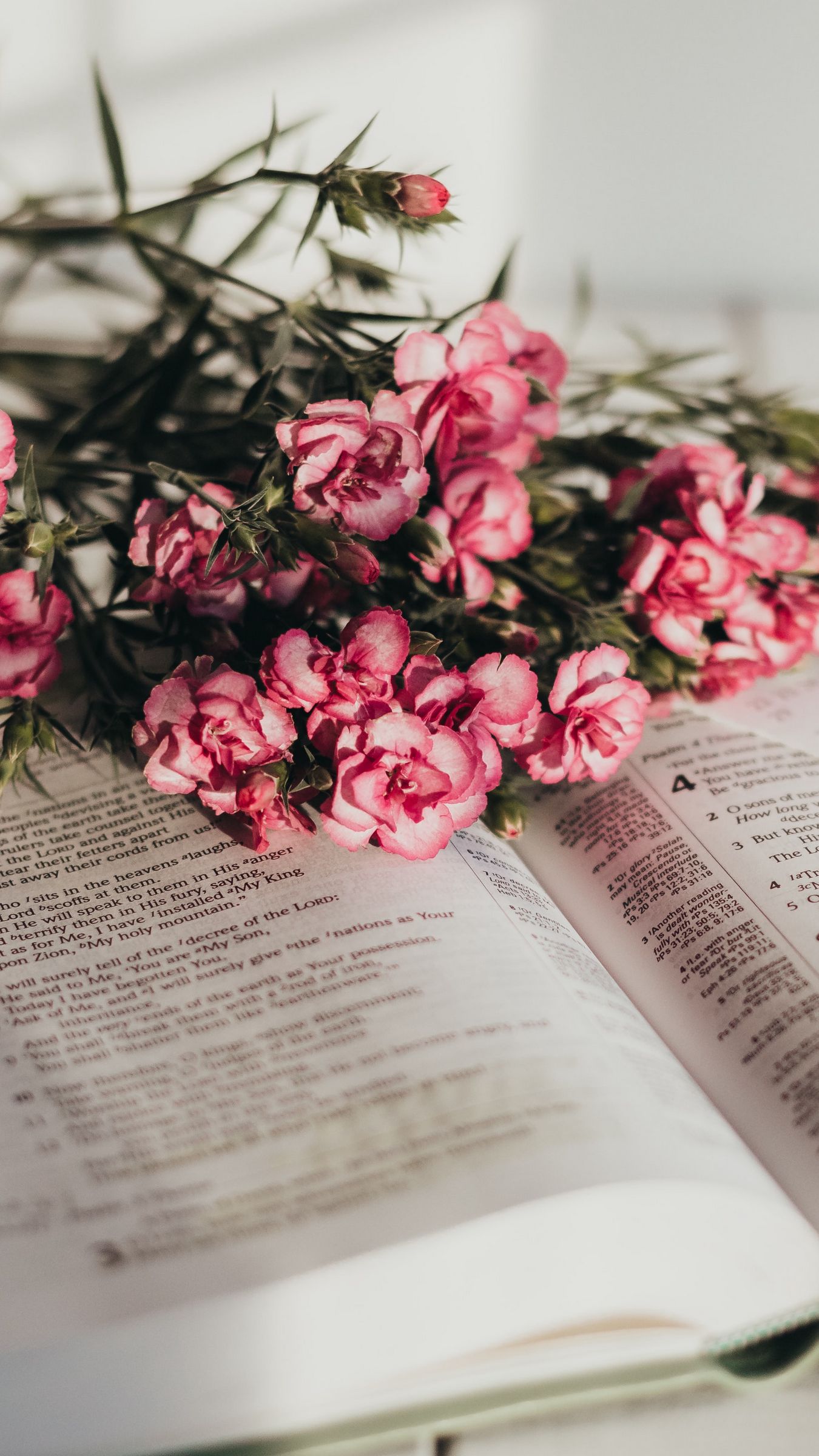 Flowers And Books Wallpapers